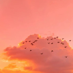 激情综合网欧美
